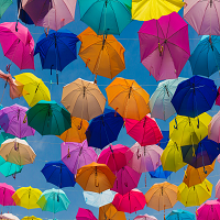 几十把伞